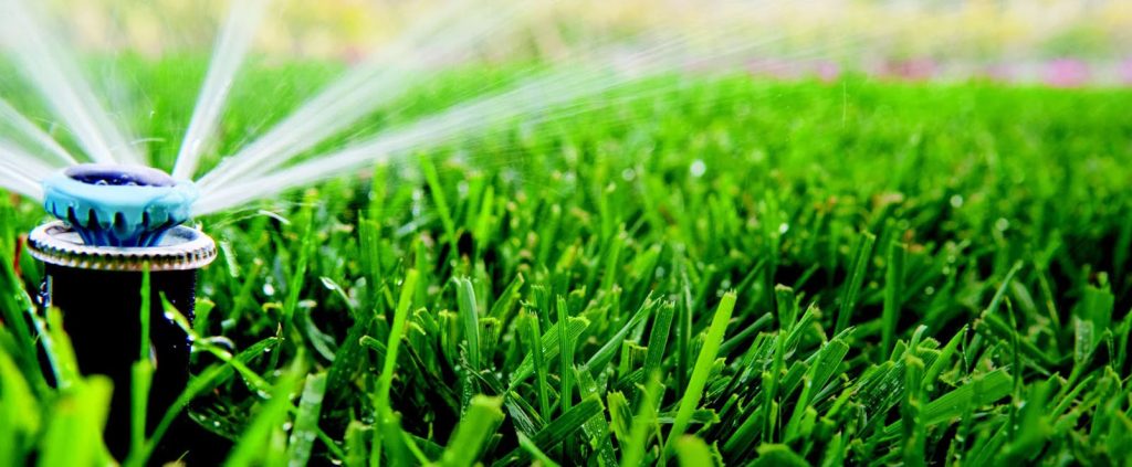 Software For Irrigation Services