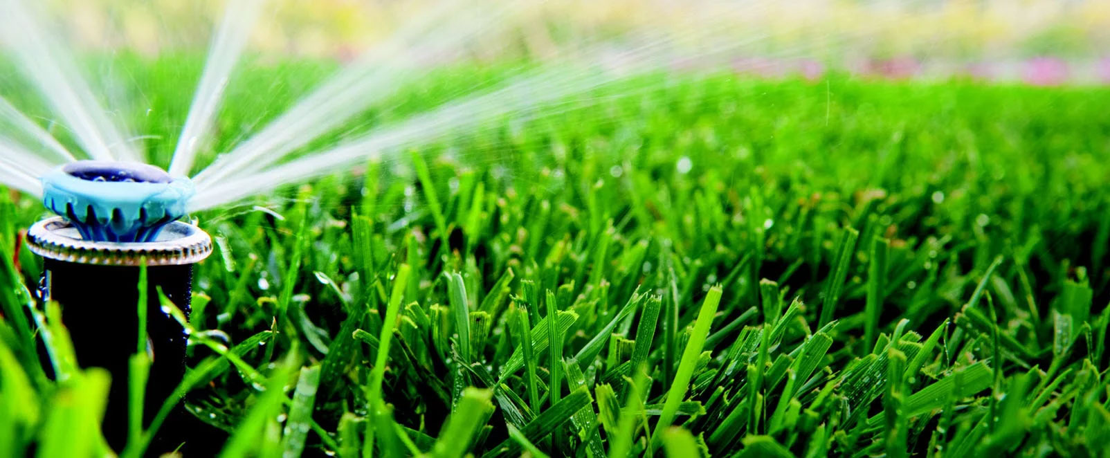 Software For Irrigation Services