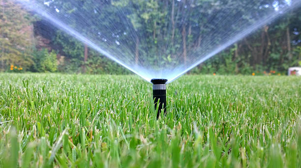 irrigation img